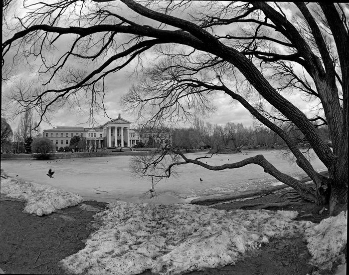 In early spring - My, The photo, Pentax 67, Black and white, Medium format