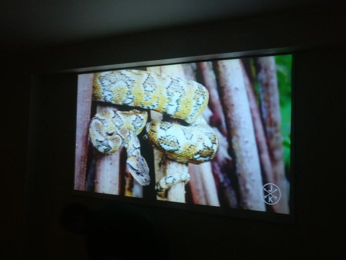 Stretch ceiling as a screen for a projector. - My, Projector, Pvc, Stretch ceiling, Longpost