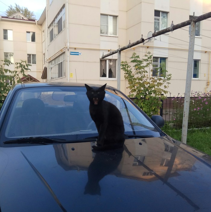 Аааа, демоны!