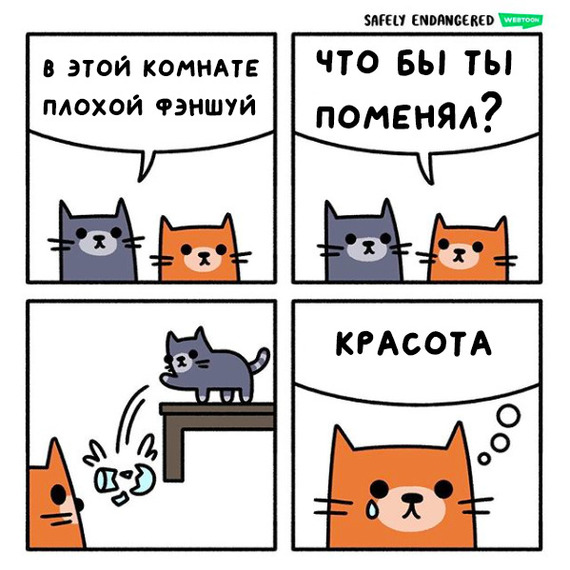 Красота по-кошачьи - Кот, Комиксы, Safely Endangered