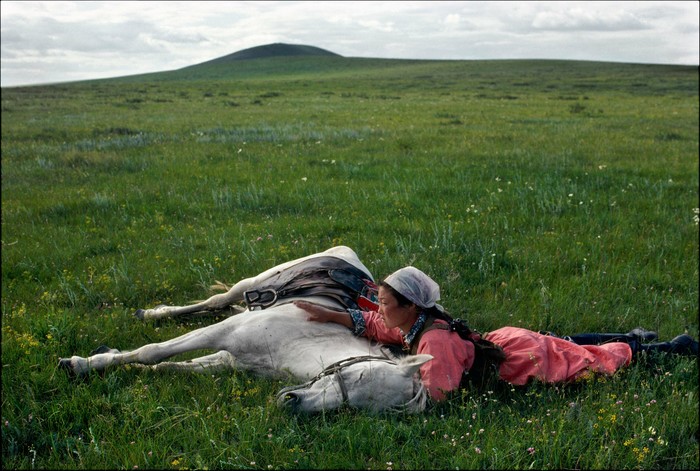 Steppe and steppe all around - Steppe, People of Horses, Horses