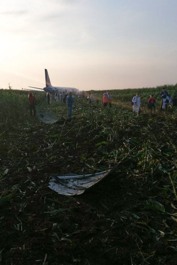 Ural Airlines landed in a field. - civil Aviation, Emergency landing, Ural Airlines, Longpost