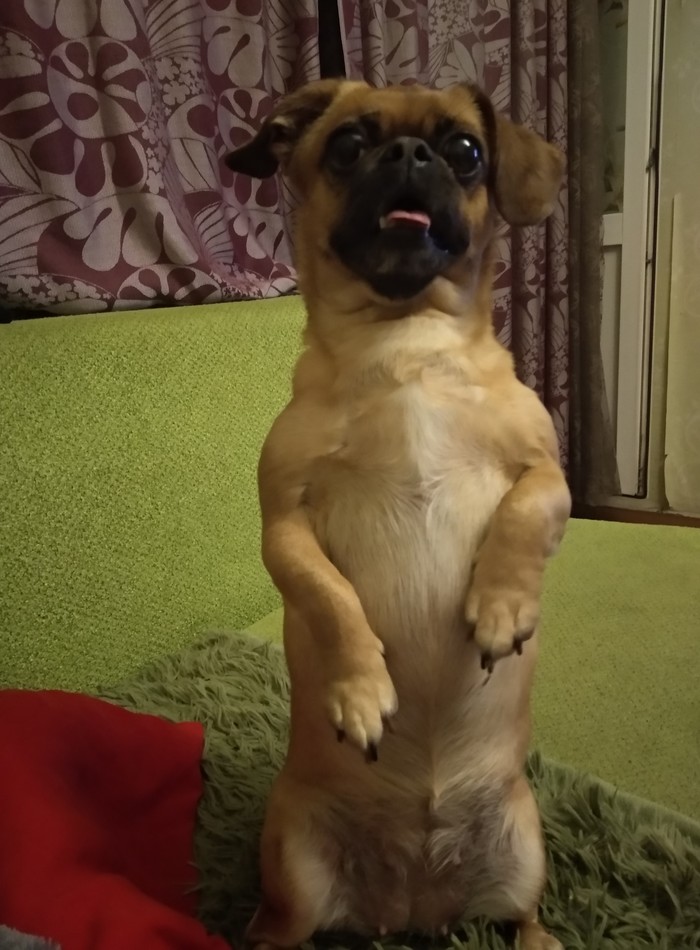 ��������� ���!