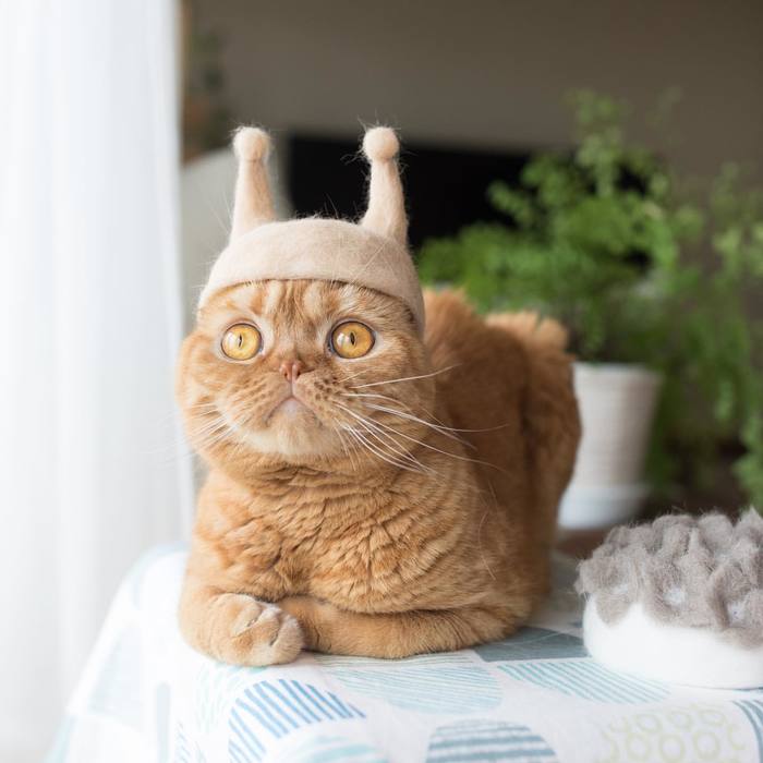  , , , , 