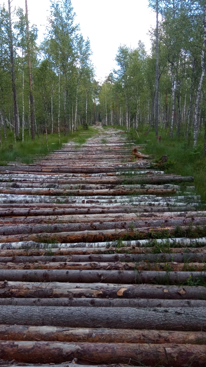 Дорога через болото