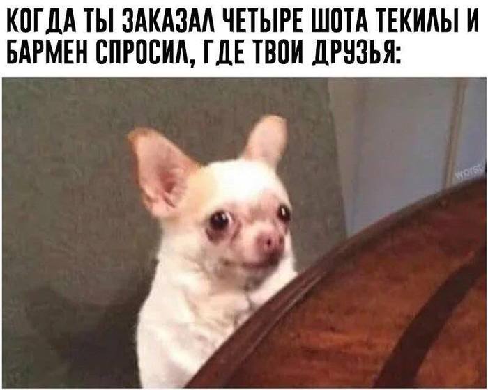  -  , , , 