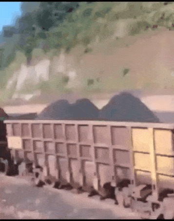 Безбилетник.