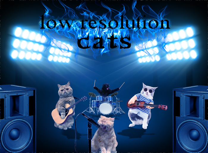 Low resolution cats Photoshop, , , , , -