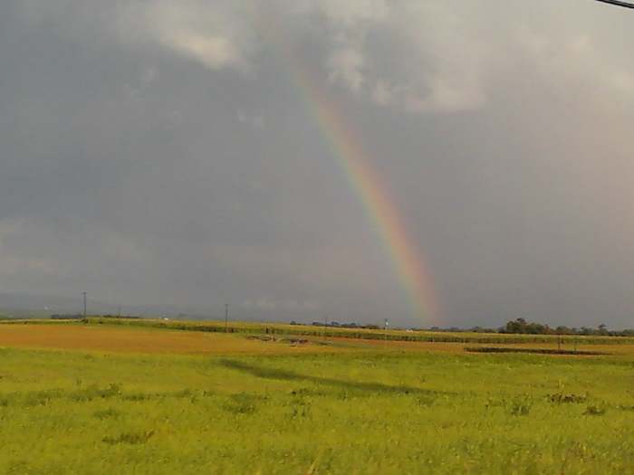 Rainbow
