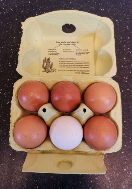 �� ������� ����, �� ������ ����.