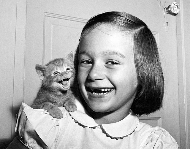 cat photographer - Kittens, 1955, Retro, cat, Children, The photo