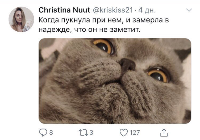 Заметил - Twitter, Отношения, Длиннопост