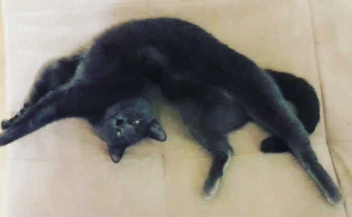   ? , 