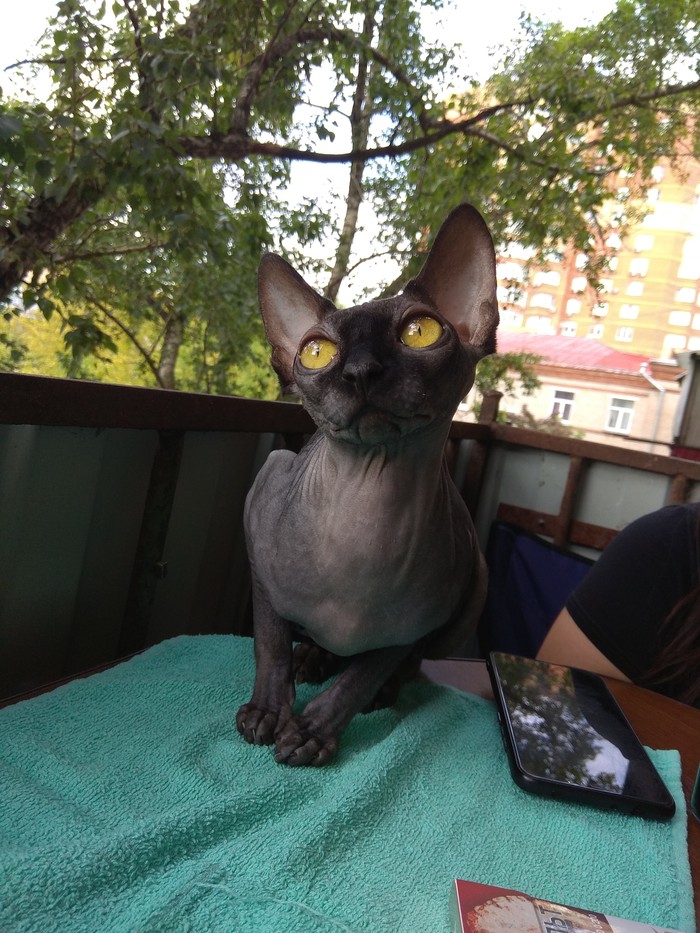 Стихотворный алкоэксперимент