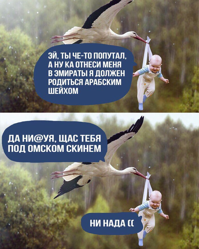 stork and child - Stork, Children, Humor, Mat