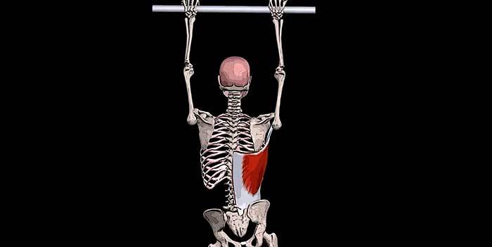 Боли в мышцах спины