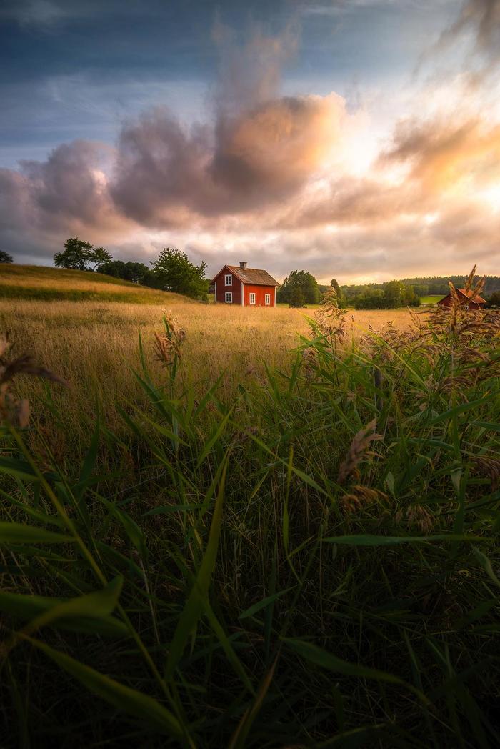 Hut in Sweden - The photo, Sweden, Hut, Field, Clouds