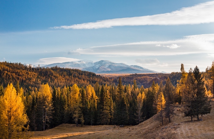 Республика Алтай, Улаганское нагорье, Курайский хребет - Алтай, Курайскийхребет, Природа, Фотография, Пейзаж, Республика Алтай