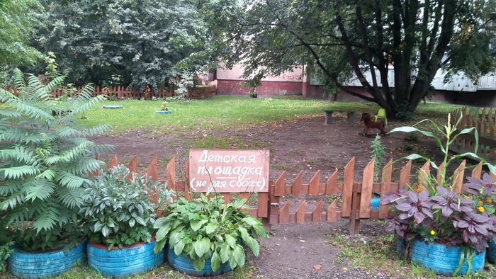 This is the playground - My, Kaliningrad, Selma, Dog, Playground