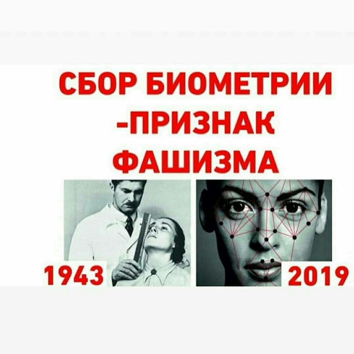 что такое ладошка красоты. Смотреть фото что такое ладошка красоты. Смотреть картинку что такое ладошка красоты. Картинка про что такое ладошка красоты. Фото что такое ладошка красоты