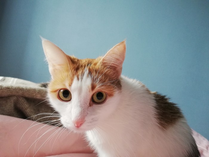 ��� ��� ����� �� ���� �������?