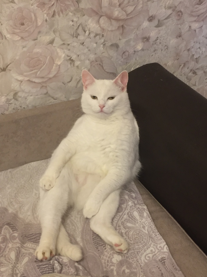 -. , ,  , ,  ,   , 