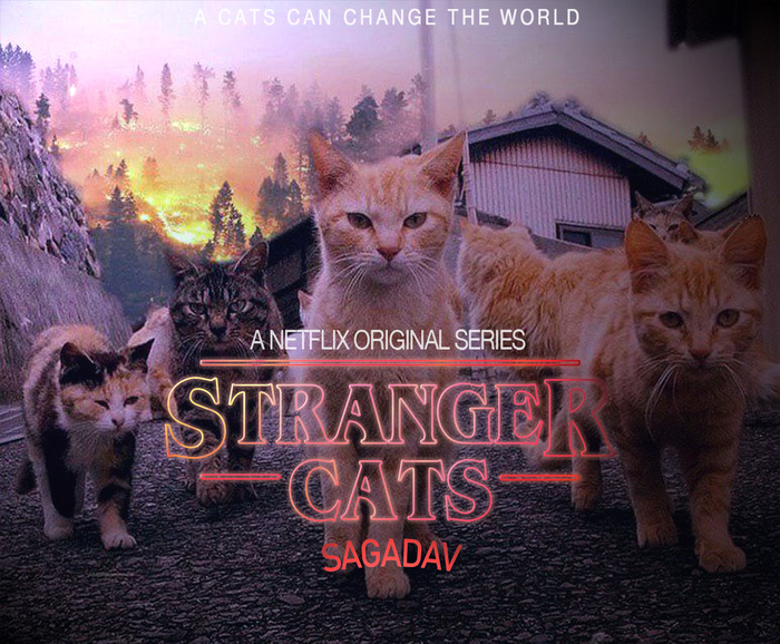 Stranger Cats. Final version. + wallpaper. - My, Very strange things, cat, Netflix, Treatment, Longpost, TV series Stranger Things