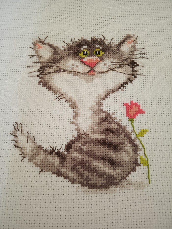 Kiss! - My, Cross-stitch, Catomafia, cat, Needlework without process, Longpost