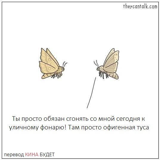 Ночные бабочки в законе. Как жили проститутки в царской России