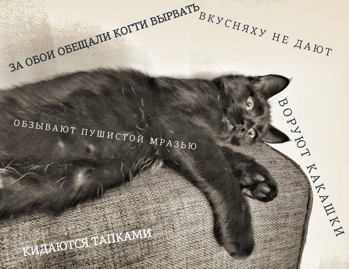 ������������ ������� ���������