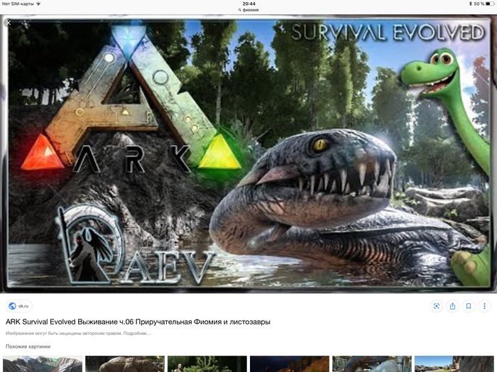      ARK       (   )