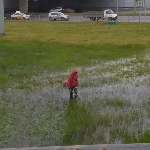 Decay - Grass, Rain, Hopelessness, Permian, The photo