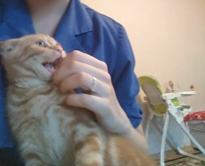   , ,  , 