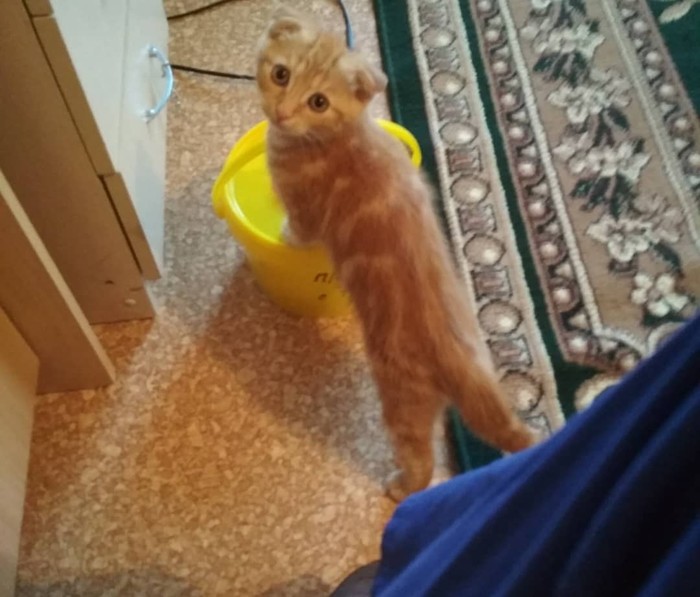   , ,  , 