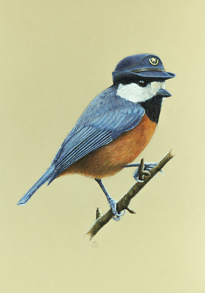 Yew (Japanese) tit - My, Drawing, Pastel, Birds, Tit, Birds in hats, Art, Animalistics