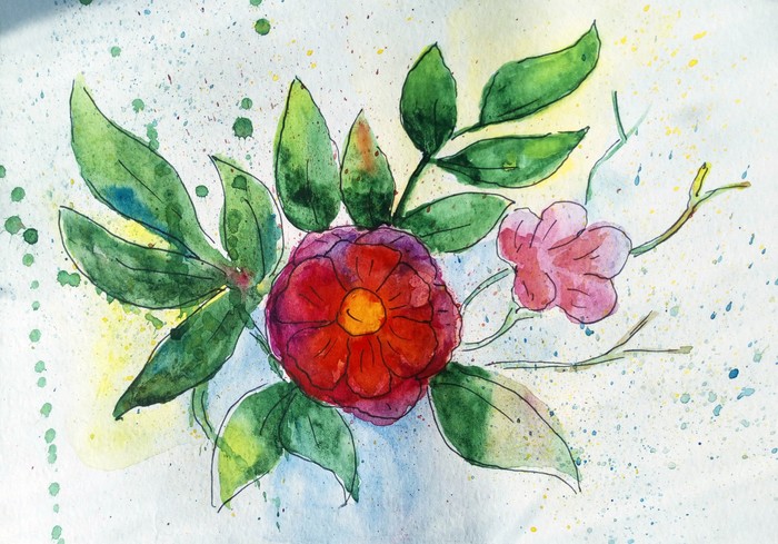 Drawing - My, Drawing, Flowers, Watercolor