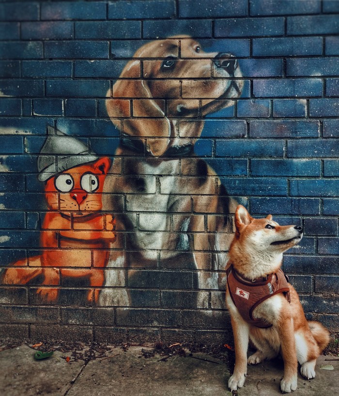 ����� ������ �������...