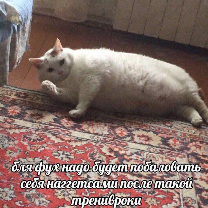 ����������� ����������