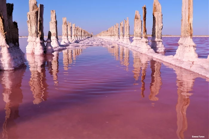 Pink Lake, Sasyk-Sivash, Crimea. - My, Pink Lake, Crimea, Sasyk-Sivash, Longpost