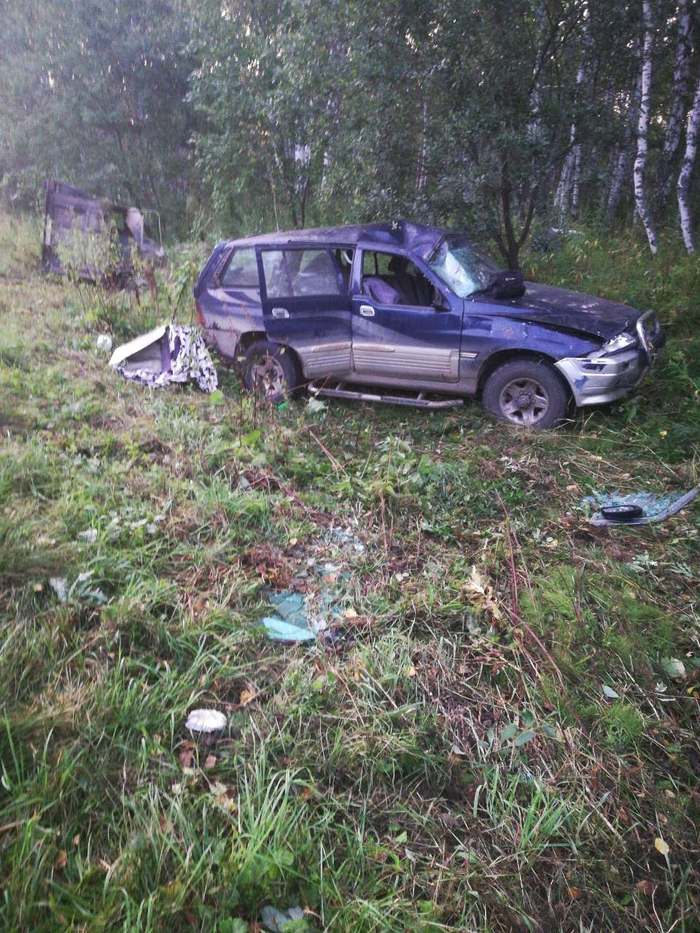 Need help in Kemerovo. - My, Road accident, Kemerovo, Horse carrier, Along the way, Longpost, No rating, Animals, Help, Horses