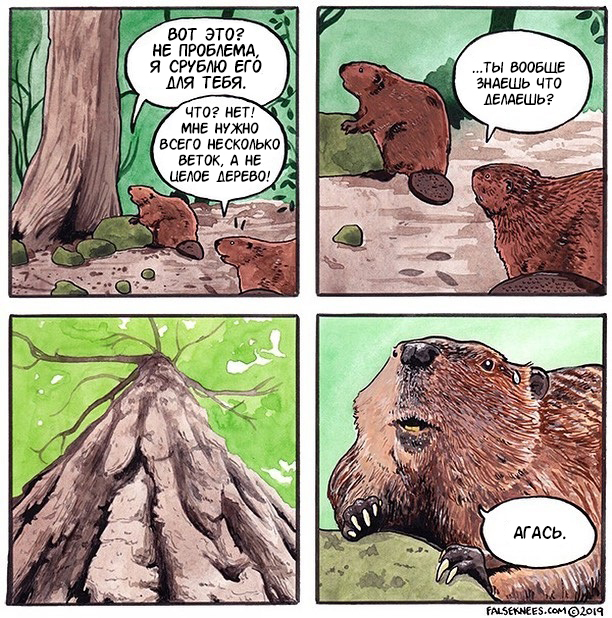 Beavers - Falseknees, Beavers, Comics