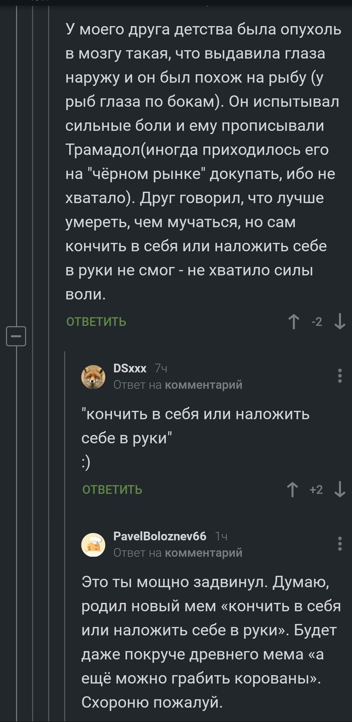 Кончить в себя, или наложить в руки? Новым мем? - Мемы, Комментарии на Пикабу, Скриншот