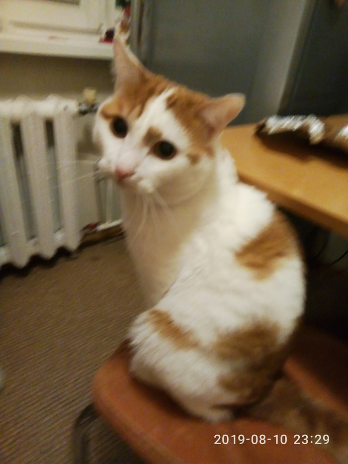 ������ �� ����� ����?