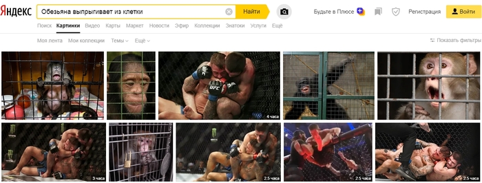 Khabib strangled another opponent. - Yandex., Khabib Nurmagomedov, news, Fight Khabib vs Poirier, UFC 242