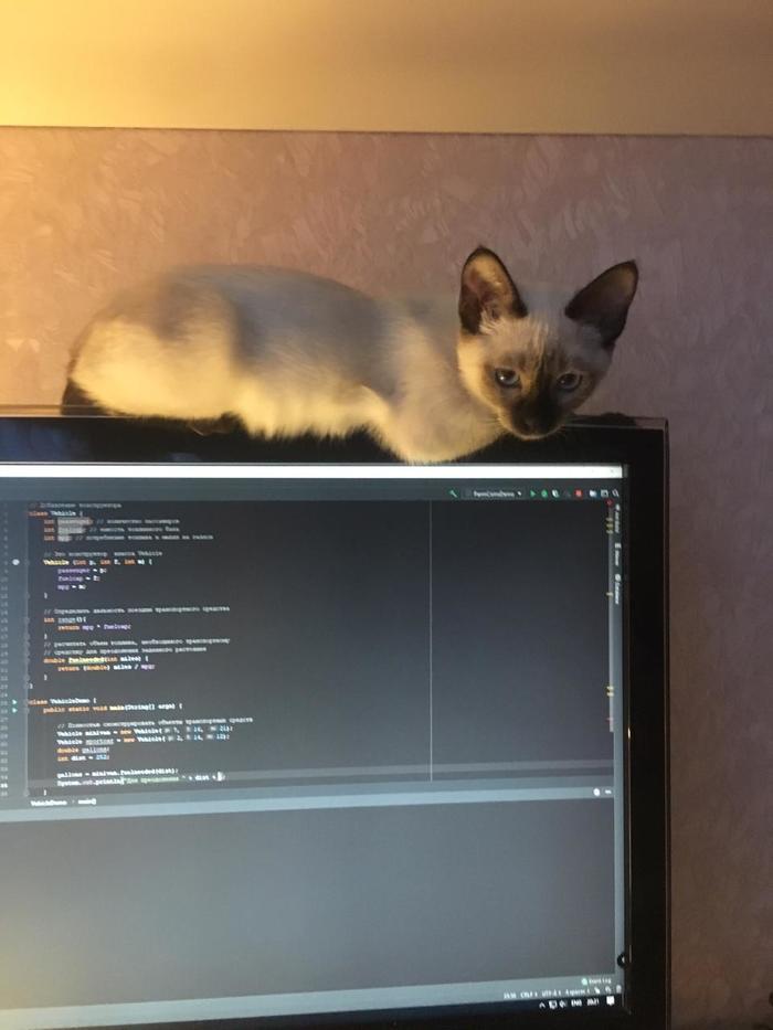 ���� ���������������� ������