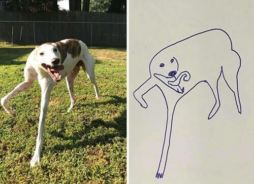Забавные карикатуры на собак сделали художника знаменитым