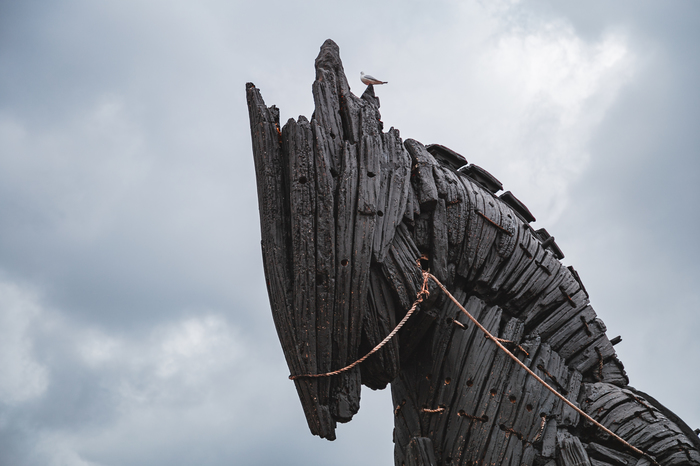 Trojan horse - My, Troy, Trojan horse, The photo