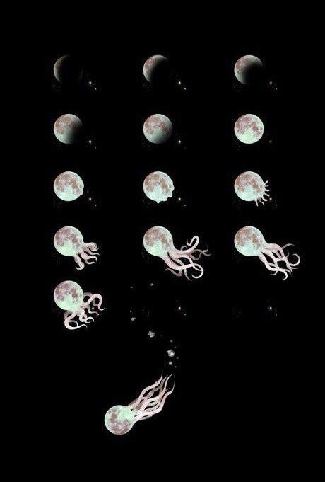 Moon phases - moon, Jellyfish, The photo, Jellyfish