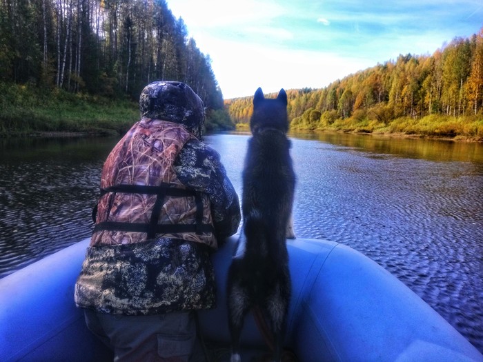 Working as an ecologist does not mean sitting in an office with documents - My, Nature, River, A boat, Dog