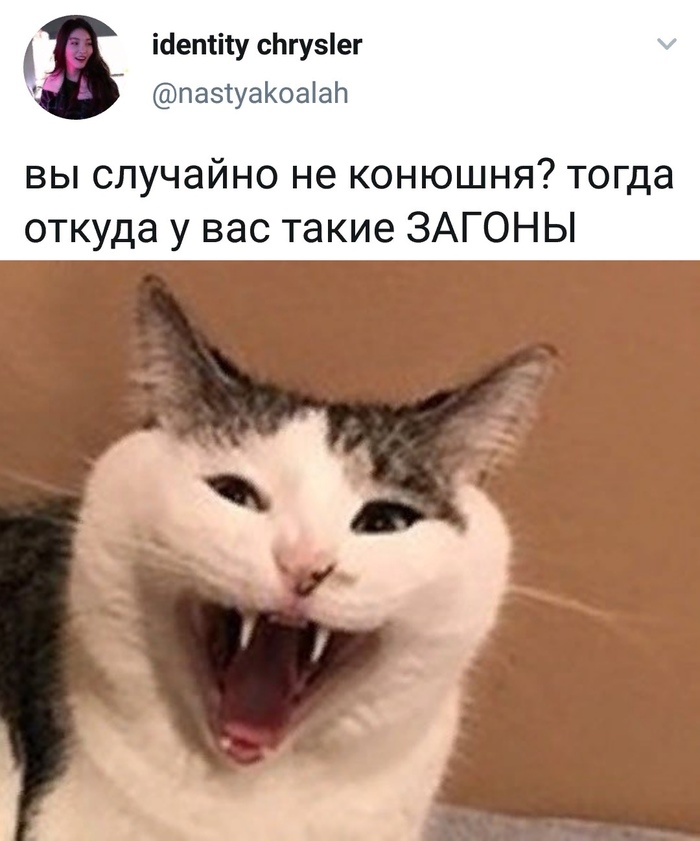 ������ ����� �� ���� �� �����
